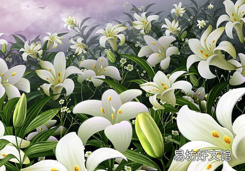 百合能宁心安神-百合银花粥的做法