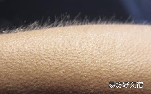 起鸡皮疙瘩的反应 鸡皮肤与鸡皮疙瘩的差异
