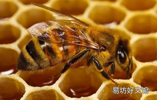 身体不舒服8个信号要注意 身体乏力无精神调理食补