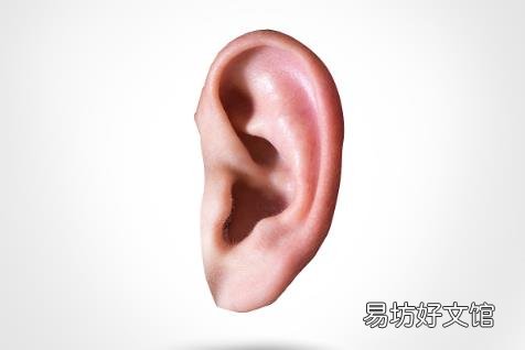 耳朵为什么有干湿的区别 简单的耳朵护理方法