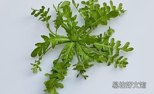 吃荠菜的好处 荠菜的做法大全