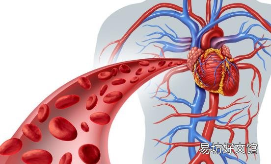 血管不通身体会报警 保持血管畅通应养成七个良好习惯