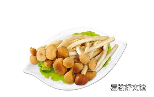茶树菇老鸭汤的做法 茶树菇食谱