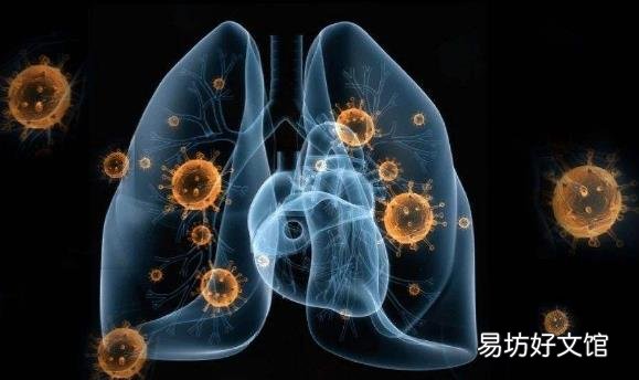 24问新型冠状病毒肺炎乙类传染病 事实到勘谬最全知识点