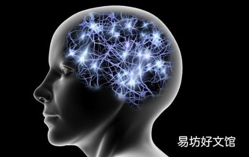 学会保护大脑提高记忆力 要做好日常护脑保健措施