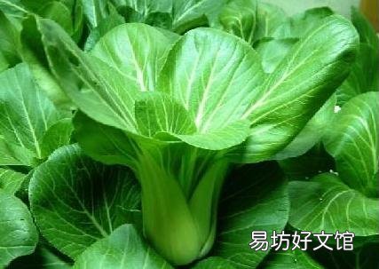 青菜的营养价值、功效与作用、吃青菜的好处