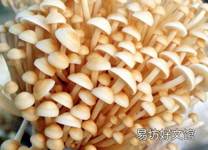 吃金针菇有什么好处?金针菇的营养价值