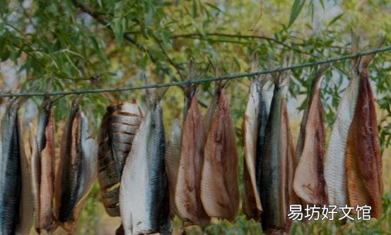 家庭自制鱼干的做法 咸鱼干最原味的两种吃法