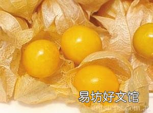 东北姑娘儿果是什么水果？姑鸟儿的营养价值