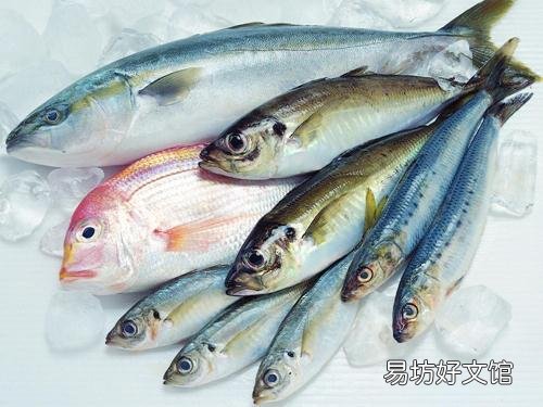 如何区别冰鲜鱼与速冻鱼?鉴别海鲜干品质量好坏方法