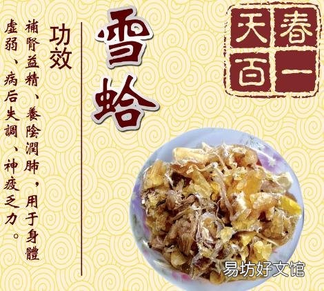 雪蛤的功效与作用-雪蛤的做法