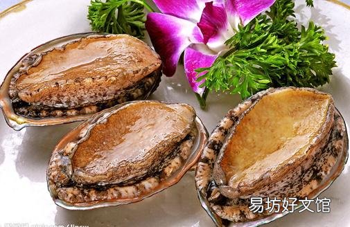 鲍鱼的营养价值-鲍鱼的功效与作用