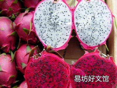 火龙果的功效与作用-火龙果的营养价值