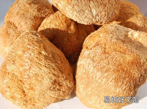 猴头菇的功效与作用-猴头菇的营养价值
