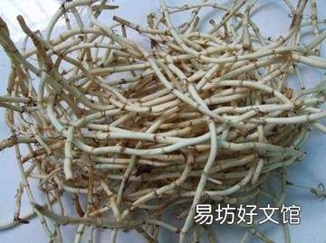 鱼腥草的功效与作用-鱼腥草怎么吃