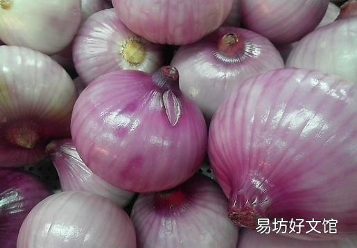 如何挑选健康的洋葱?洋葱的选购方法