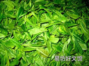 怎样贮存新茶?新茶叶怎样保存?茶叶保存方法