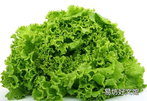 吃生菜有什么好处?生菜的营养价值及功效