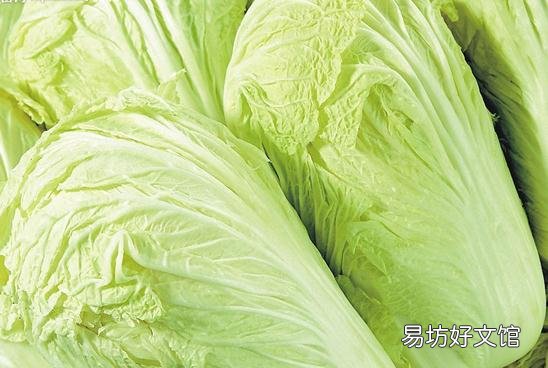 怎样挑选大白菜?大白菜的选购技巧