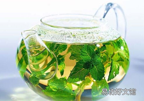 薄荷茶的营养价值-薄荷茶的副作用