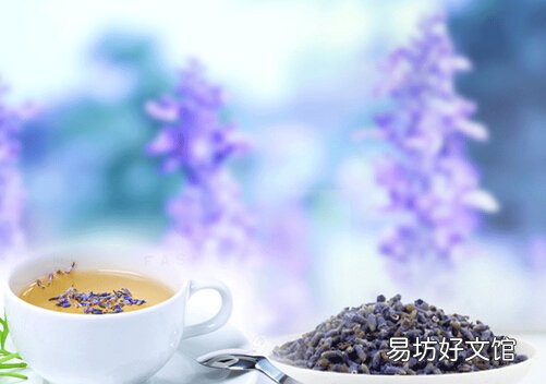 薰衣草茶的介绍-熏衣草茶的功效