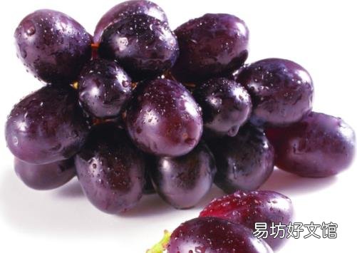 如何挑选到甜提子?什么样的提子最甜