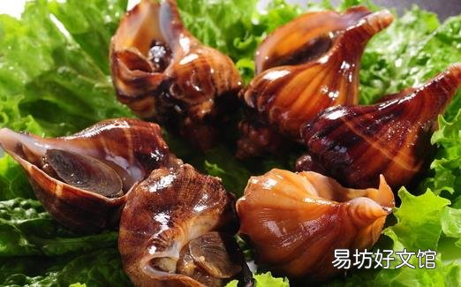 关于食用海螺的饮食禁忌与选购方法