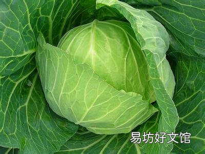 新鲜蔬菜这样挑