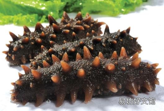 如何挑选海参?海参的挑选技巧