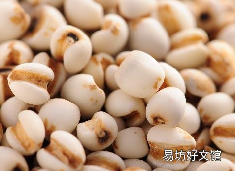 薏米的营养价值-薏米的功效与作用