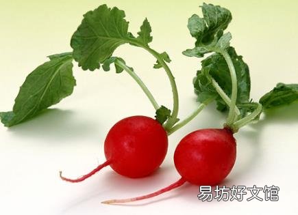 萝卜缨的营养价值-萝卜缨的功效与作用
