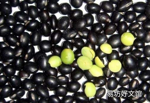 黑豆的营养价值-黑豆的功效与作用