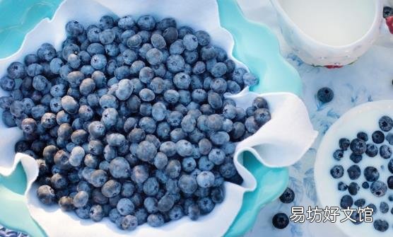 5种蓝莓的吃法 蓝莓配冰激凌清爽宜人解暑美容