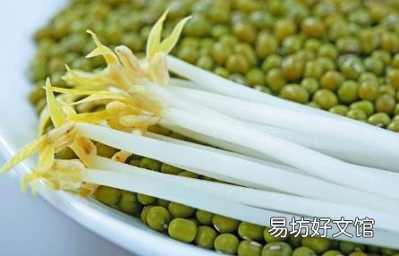 绿豆芽怎么做好吃?绿豆芽的营养价值、功效与作用