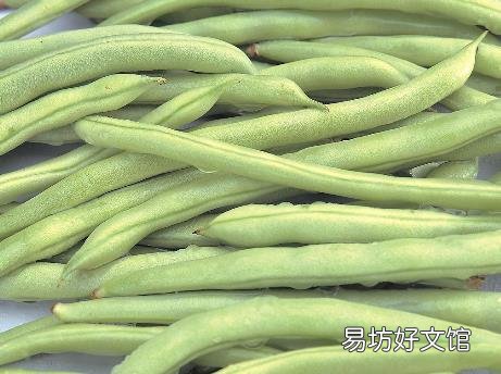 豆角的营养价值-豆角的功效与作用