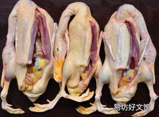 如何鉴别鸭肉是否鲜嫩?鉴别鸭肉老嫩的技巧