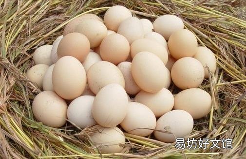 挑选优质鸡蛋 8个小妙招必知