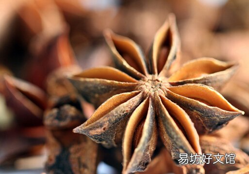 茴香功效胜补药-茴香的药用价值