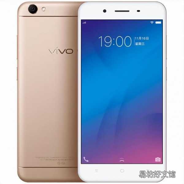 带你了解vivoy所有产品大全 vivoy系列全部手机型号