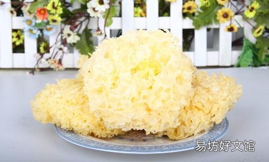 吃银耳有什么好处?银耳可以补肾