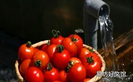 挑选西红柿 告诉你四招识别催熟西红柿