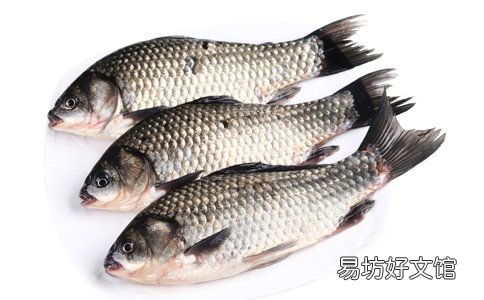 各种鱼的保健功效
