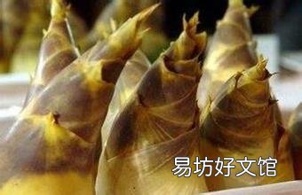 春笋的营养价值与做法