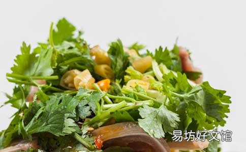 你所不知道的香菜的功效