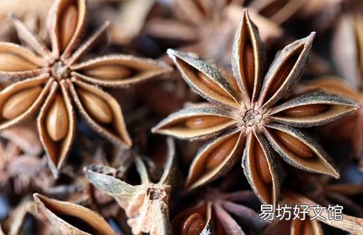 八角有什么功效?八角的用法介绍