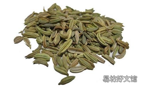 茴香有6大作用你知道吗