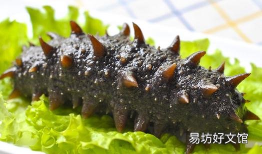 海参有什么功效?吃海参的注意事项
