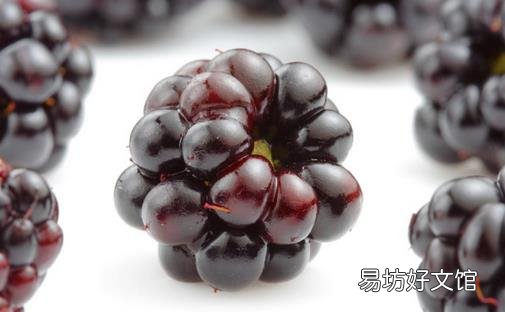 桑葚有什么功效?盘点桑葚的营养与功效