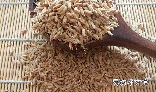 胚芽米适合哪些人吃?胚芽米的功效