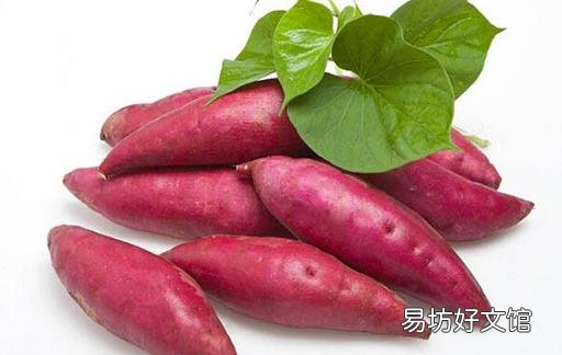 红薯,世界上性价比最高的食物